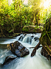 Tropical waterfall | Stock Foto