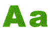 Grass letter A | Stock Illustration