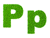 Grass letter P | Stock Illustration