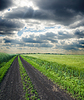 Schmutzigen Straße bis wolkig Horizont | Stock Foto