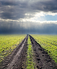 Schmutzigen Straße bis wolkig Horizont. regen vor | Stock Foto