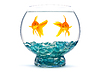 Goldfishes | Stock Foto
