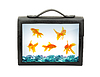 Briefcase | Stock Foto