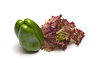 Verduras | Foto de stock