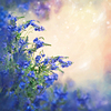 Romantic Blue Flowers | Stock Illustration