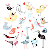Photo 300 DPI: Beautiful graphics birds
