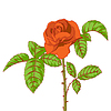 Vector clipart: Design floral element. 