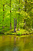 Greenwood | Stock Foto