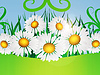 Daisies and ribbon | Stock Illustration