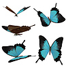 3d blue butterflies | Stock Illustration