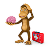 Photo 300 DPI: monkey with brain