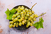 Traube | Stock Foto