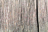 Wood plank texture, background | Stock Foto