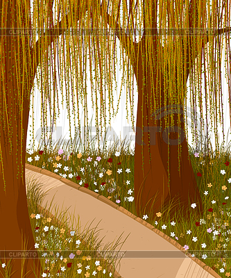 Willow fondo del bosque | Ilustración vectorial de stock |ID 3703669