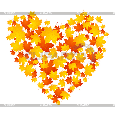 Herbst-Konzept Herz der Ahornblätter | Stock Vektorgrafik |ID 5912783