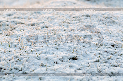 Fondo abstracto natural con hierba seca en la nieve | Foto de alta resolución |ID 3679344