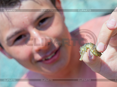 Seahorse | High resolution stock photo |ID 3471505