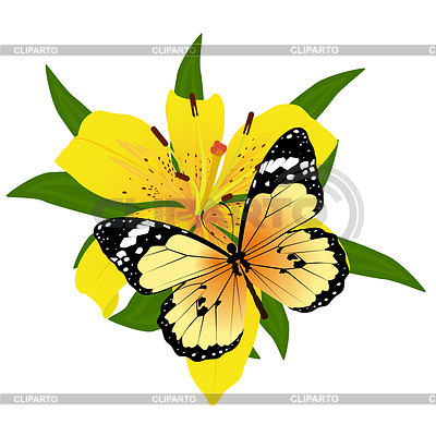 Butterfly on flower- | Stock Vector Graphics |ID 3461824