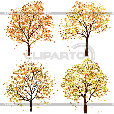 Set of four autumn tree | Stock Vector Graphics |ID 3389591