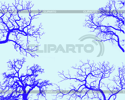 Siluette branch of tree | High resolution stock photo |ID 3470059