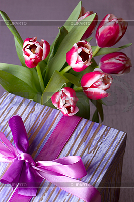 Rosa Tulpen und Geschenk-Box | Foto mit hoher Auflösung |ID 3550857