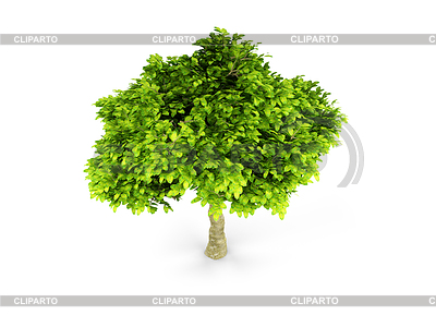 Lone green tree | High resolution stock illustration |ID 3530346