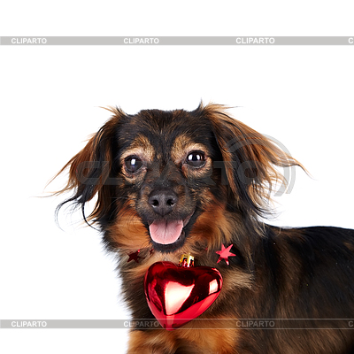 Decorative fluffy with red heart | High resolution stock photo |ID 3562215