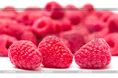 Ripe Raspberry Red Berry | Foto de alta resolución |ID 3682472