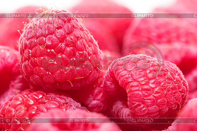 Ripe Raspberry Red Berry | Foto de alta resolución |ID 3682474
