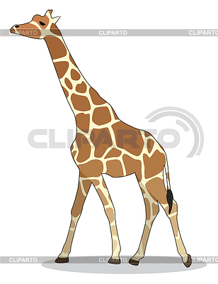 Giraffe | Stock Vector Graphics |ID 3537988