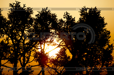 Grand Canyon. Sunset Canyon | High resolution stock photo |ID 3433416