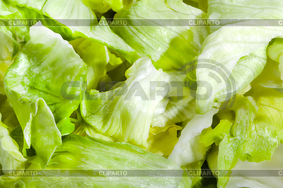 Fresca ensalada de lechuga verde saludable | Foto de alta resolución |ID 3479963