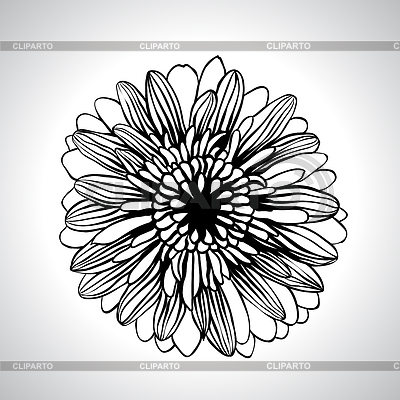 Flores mano de la cuerda establecer | Ilustración vectorial de stock |ID 3484552