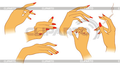 Frauen Hände | Stock Vektorgrafik |ID 3488846