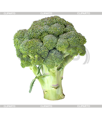 Brócoli | Foto de alta resolución |ID 3496651