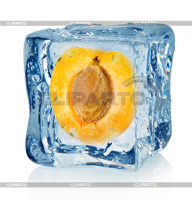 Ice Cube und apricot | Foto mit hoher Auflösung |ID 3554893