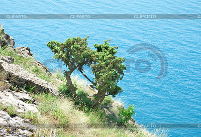 Hill and sea | High resolution stock photo |ID 3555432