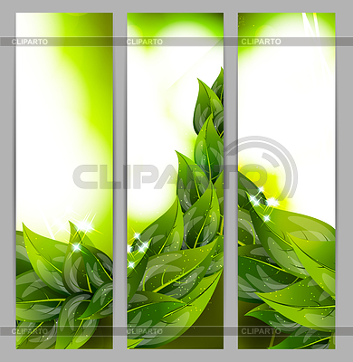 Set of banners with leaves | Stock Vector Graphics |ID 3668463