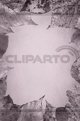 Autumn frame background | High resolution stock photo |ID 3597070