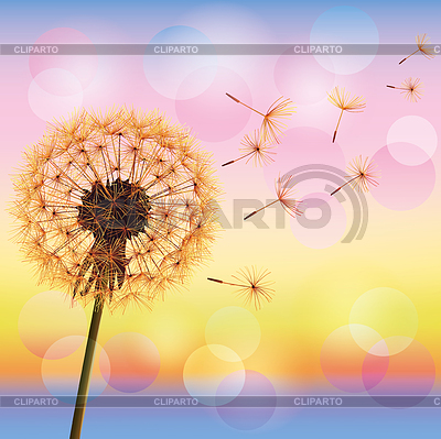 Löwenzahn auf Hintergrund des Sonnenuntergangs | Stock Vektorgrafik |ID 3645701