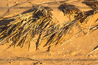 Desert sand pattern texture | High resolution stock photo |ID 5164178