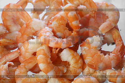 Cooked shrimps | High resolution stock photo |ID 5639041