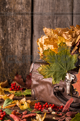 Retro suitcase with autumn leaves on wooden | High resolution stock photo |ID 6688817