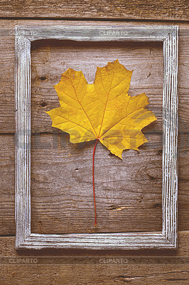 Autumn colorful leaves on wooden texture in frame | High resolution stock photo |ID 6693507