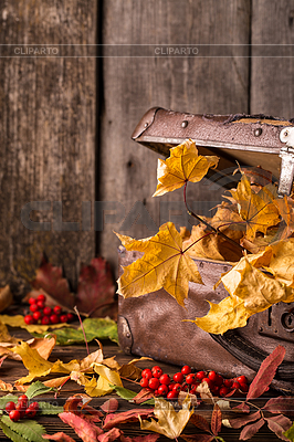 Retro suitcase with autumn leaves on wooden | High resolution stock photo |ID 6694556