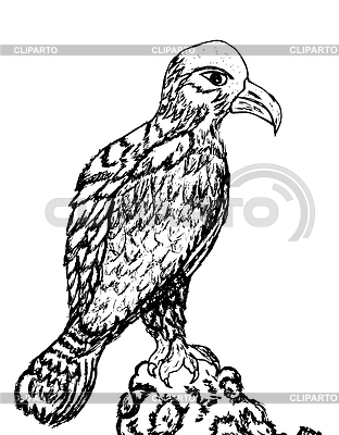 Eagle Эскиз | Векторный клипарт |ID 4930414
