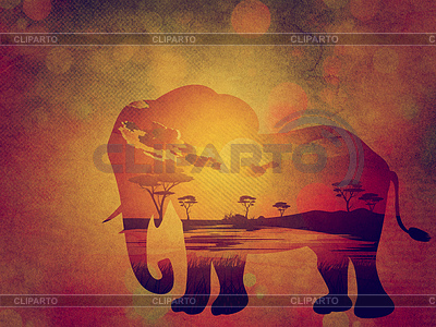 African Sunset with Elephant Grunge | High resolution stock illustration |ID 6386228