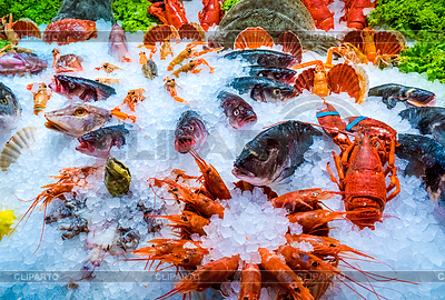 Различные морепродукты на полках рыбного рынка | Фото большого размера |ID 6525070
