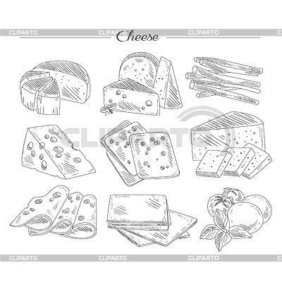 Tipos de queso. Handdrawn Set | Ilustración vectorial de stock |ID 5513215