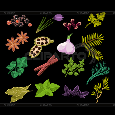 Conjunto de especias. | Ilustración vectorial de stock |ID 5571286
